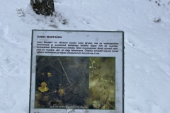 Jussi-matkarada-Jussi-Mustjarv