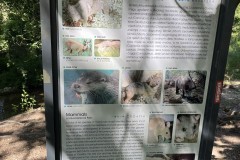 Krka_-rahvuspark-loomad