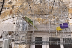 Lefkimmi-papagoi-Corfu